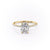 Elongated Cushion Cut Lab Diamond Engagement Ring, Hidden Halo
