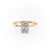 Elongated Cushion Cut Lab Diamond Ring With Hidden Halo