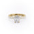 Elongated Cushion Cut Lab Diamond Stone Set Shoulders With Hidden Halo