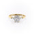 Elongated Cushion Cut Lab Diamond, Traditional Classic Design