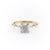 Cushion Cut Lab Diamond With Stone Set Shoulders