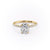 Elongated Cushion Cut Lab Diamond Engagement Ring, Hidden Halo