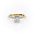 Elongated Cushion Cut Lab Diamond Pavé Set Shoulders With Hidden Halo