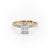 Emerald Cut Lab Diamond Pavé Set Shoulders With Hidden Halo