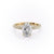 Oval Cut Lab Diamond Pavé Set Shoulders With Hidden Halo