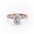Oval Cut Lab Diamond Pavé Set Shoulders With Hidden Halo