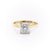 Princess Cut Lab Diamond Engagement Ring, Hidden Halo