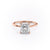 Princess Cut Lab Diamond, Plain Band & Hidden Halo