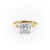 Princess Cut Lab Diamond, Traditional Classic Design