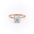 Round Cut Lab Diamond, Plain Band & Hidden Halo