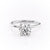 Round Cut Lab Diamond, Plain Band & Hidden Halo